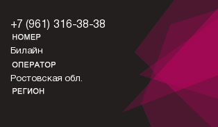9613163838